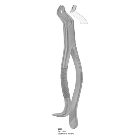 Upper Third Molars