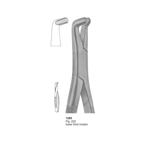 Lower Third Molars
