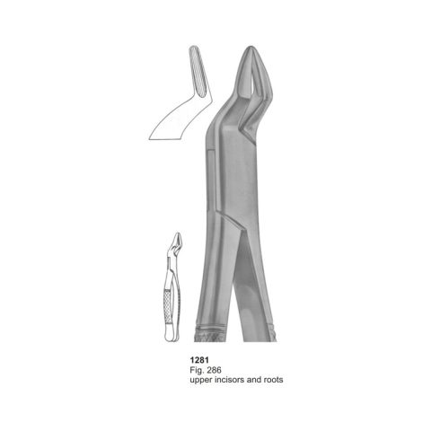 Upper Incisors and Roots