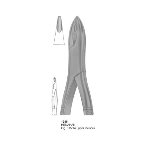HENAHAN, Upper Incisors
