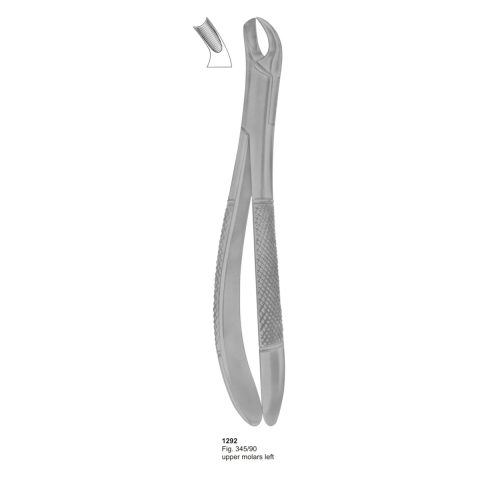 Upper Molars Left
