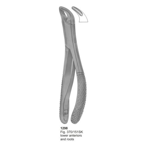 Lower Anteriors and Roots
