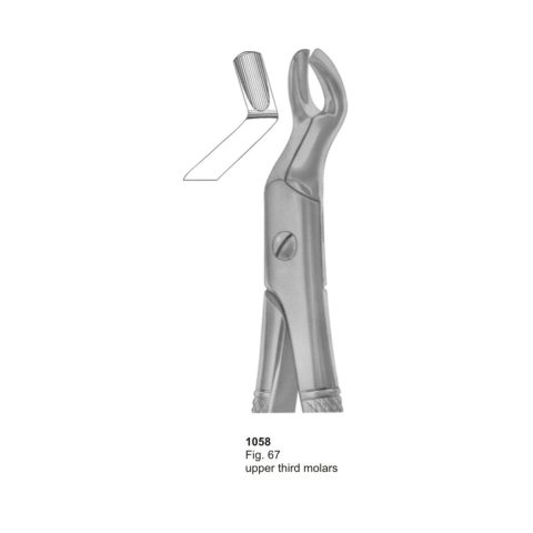 Upper Third Molars