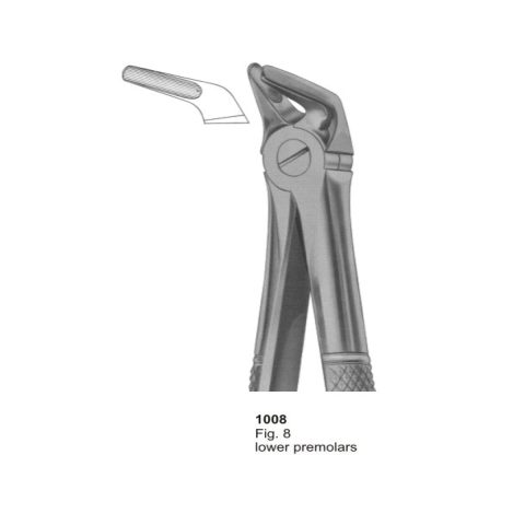Lower Premolars