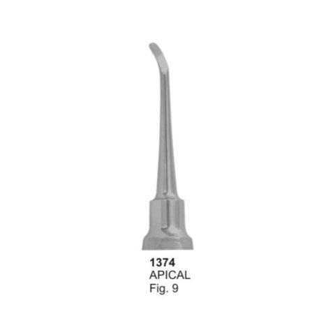 APICAL