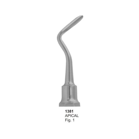 APICAL