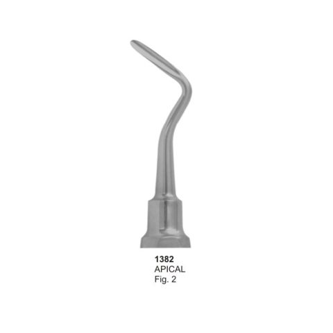 APICAL