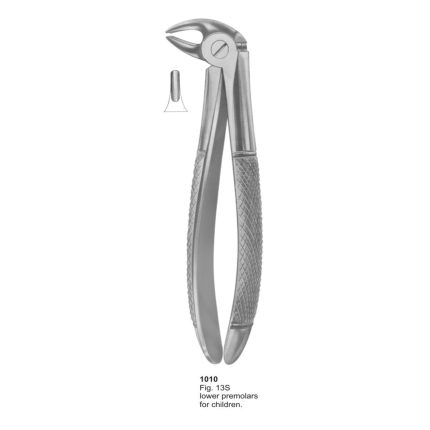 Lower Premolars For Childern