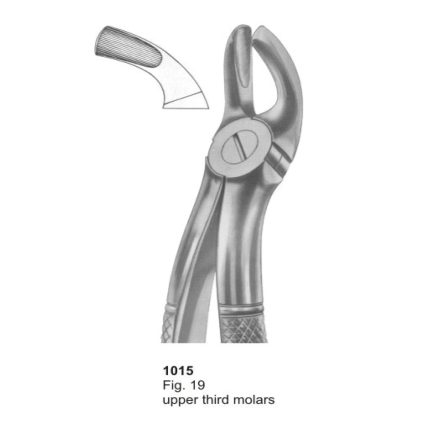 Upper Third Molars