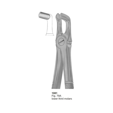 Lower Third Molars