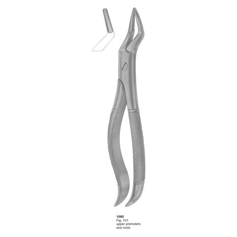 Upper Premolars and Roots