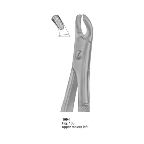 Upper Molars Left