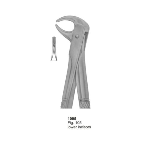 Lower Incisors