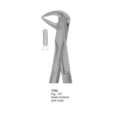 Lower Incisors and Roots