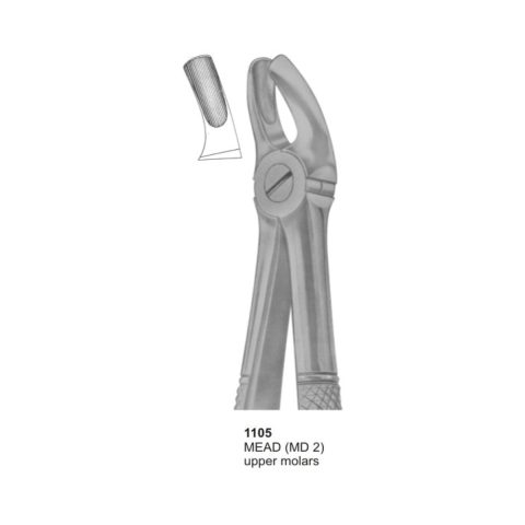 MEAD, Upper Molars