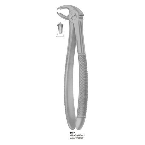 MEAD, Lower Molars