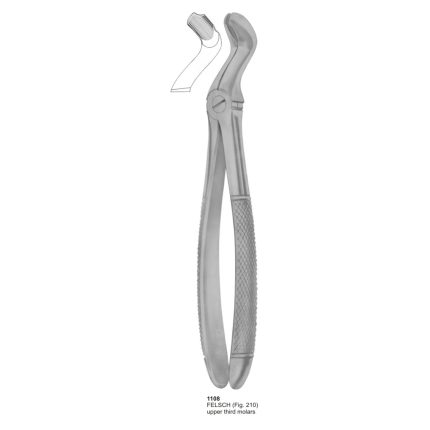 Upper Third Molars
