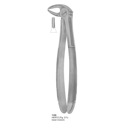 HERTZ, Lower Incisors