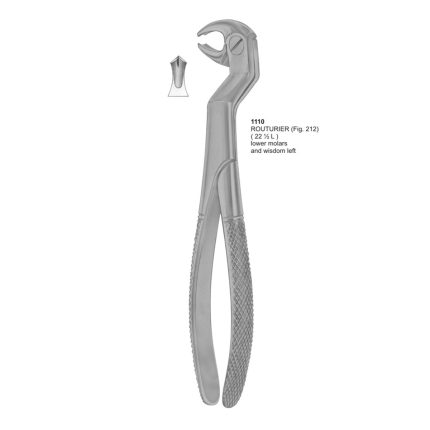 Routurier, Lower Molars and Wisdom Left