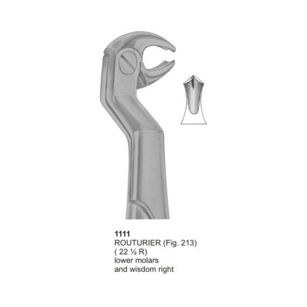 Routurier, Lower Molars and Wisdom Right