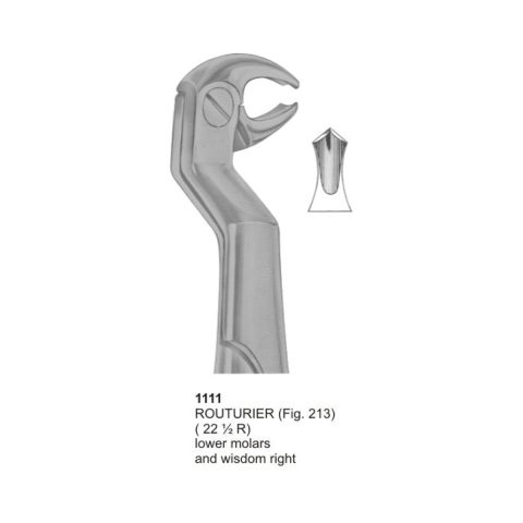 Routurier, Lower Molars and Wisdom Right