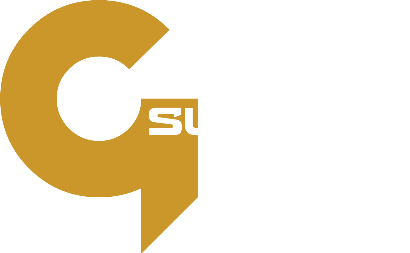 GamiSurgical